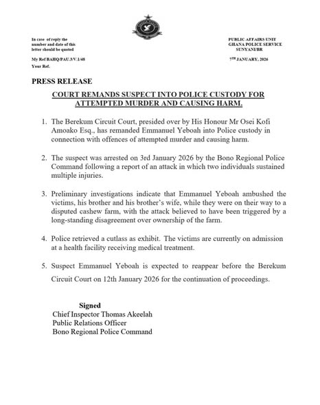 Court remands suspect into custody for attempted murder and causing harm