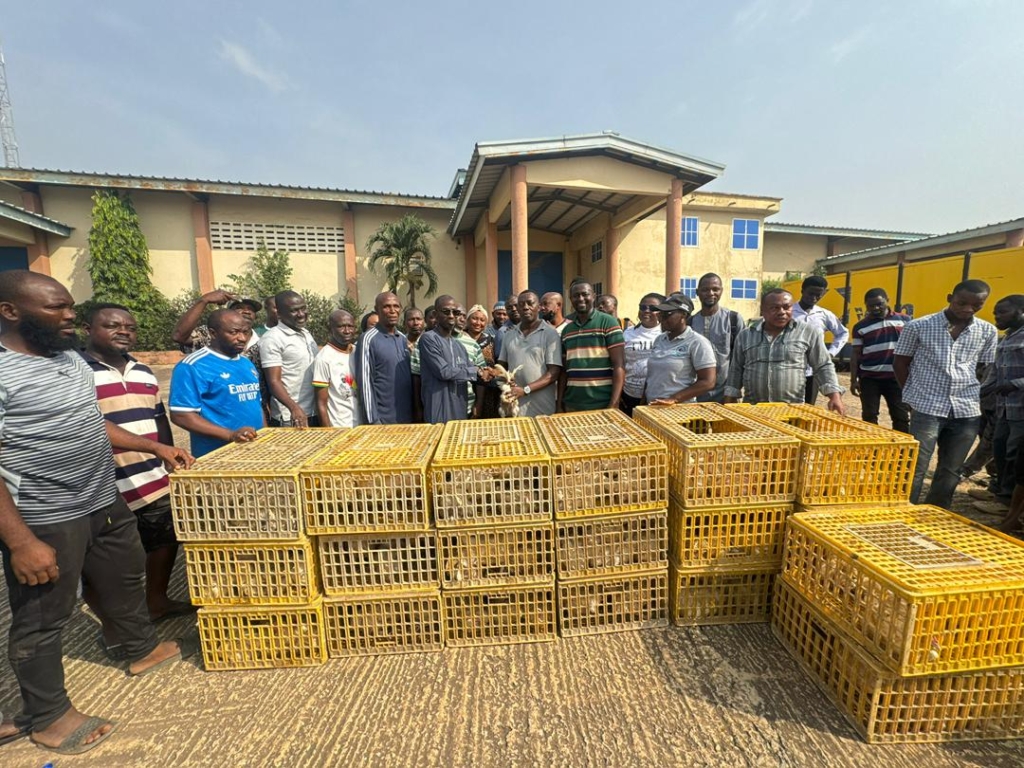 Nearly 8k birds distributed to...