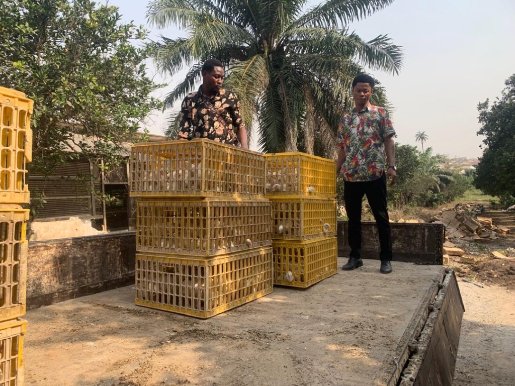 Nearly 8k birds distributed to 159 beneficiaries under ‘Nkoko Kitikiti’ programme Nearly 8k birds distributed to 159 beneficiaries under ‘Nkoko Kitikiti’ programme