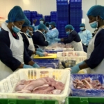 Nkoko Nkitinkiti Project