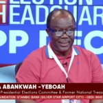 NPP race: No polling station to declare results before 2pm - NPP
