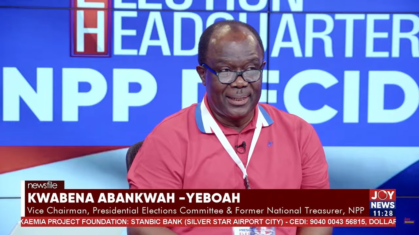 NPP race: No polling station to declare results before 2pm – NPP