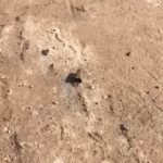 Gunshots, acid attack reported in Ekumfi Eyisam–Edumadze youth clash Gunshots, acid attack reported in Ekumfi Eyisam–Edumadze youth clash