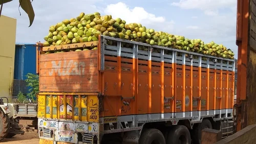 Ghana’s mango trade hits new high with 26-tonne road export to Morocco