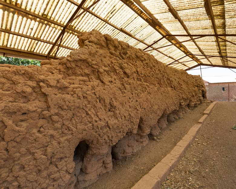 Gwollu, Resistance, and Renewal: The living legacy of the Tanjia Musa Fire Festival