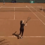 Tournament chiefs admit errors over viral wildcard