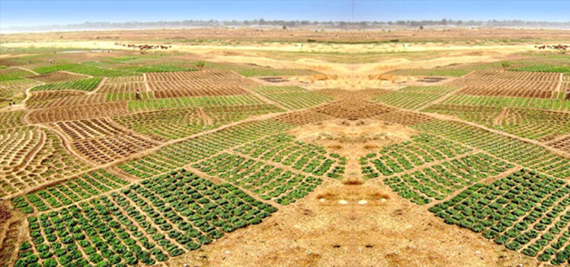 Land Registration in Ghana: A tale of multiple registration regimes