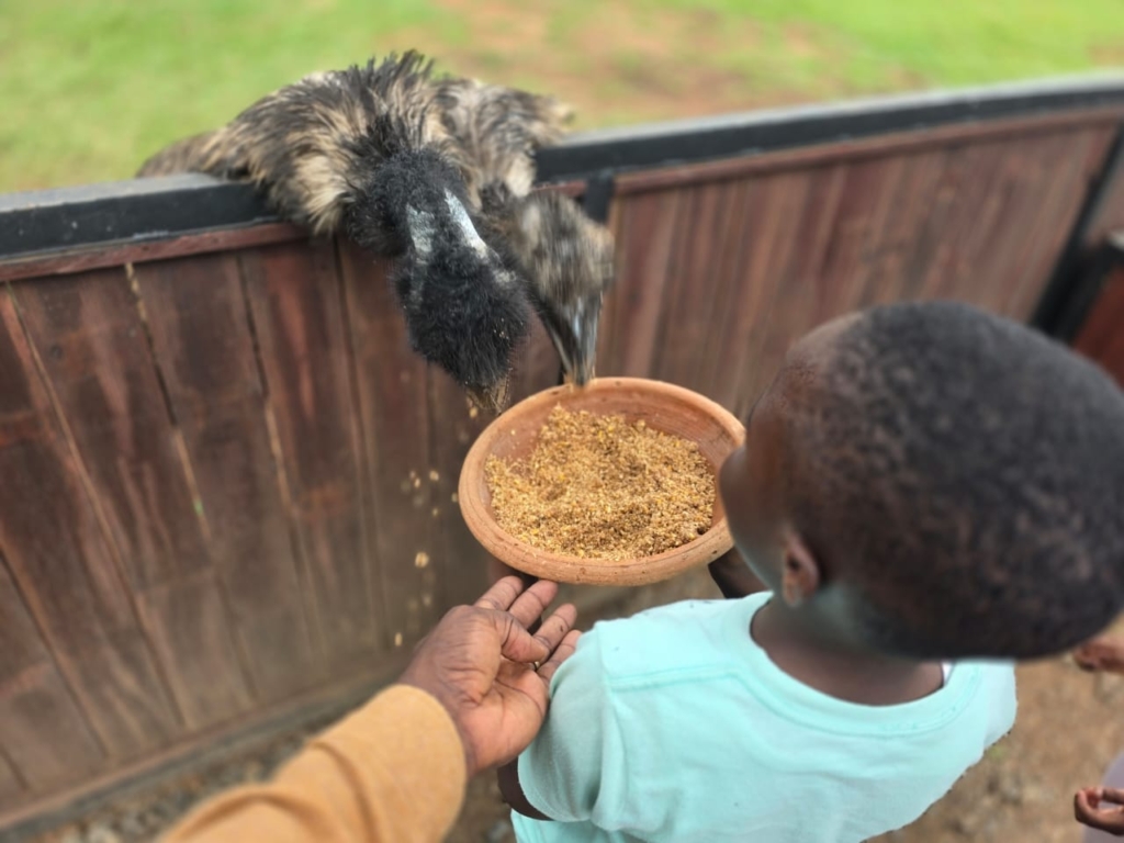 JOY FM rolls out “Safari Experience” — a refreshing Ghana Month escape into nature, culture and connection