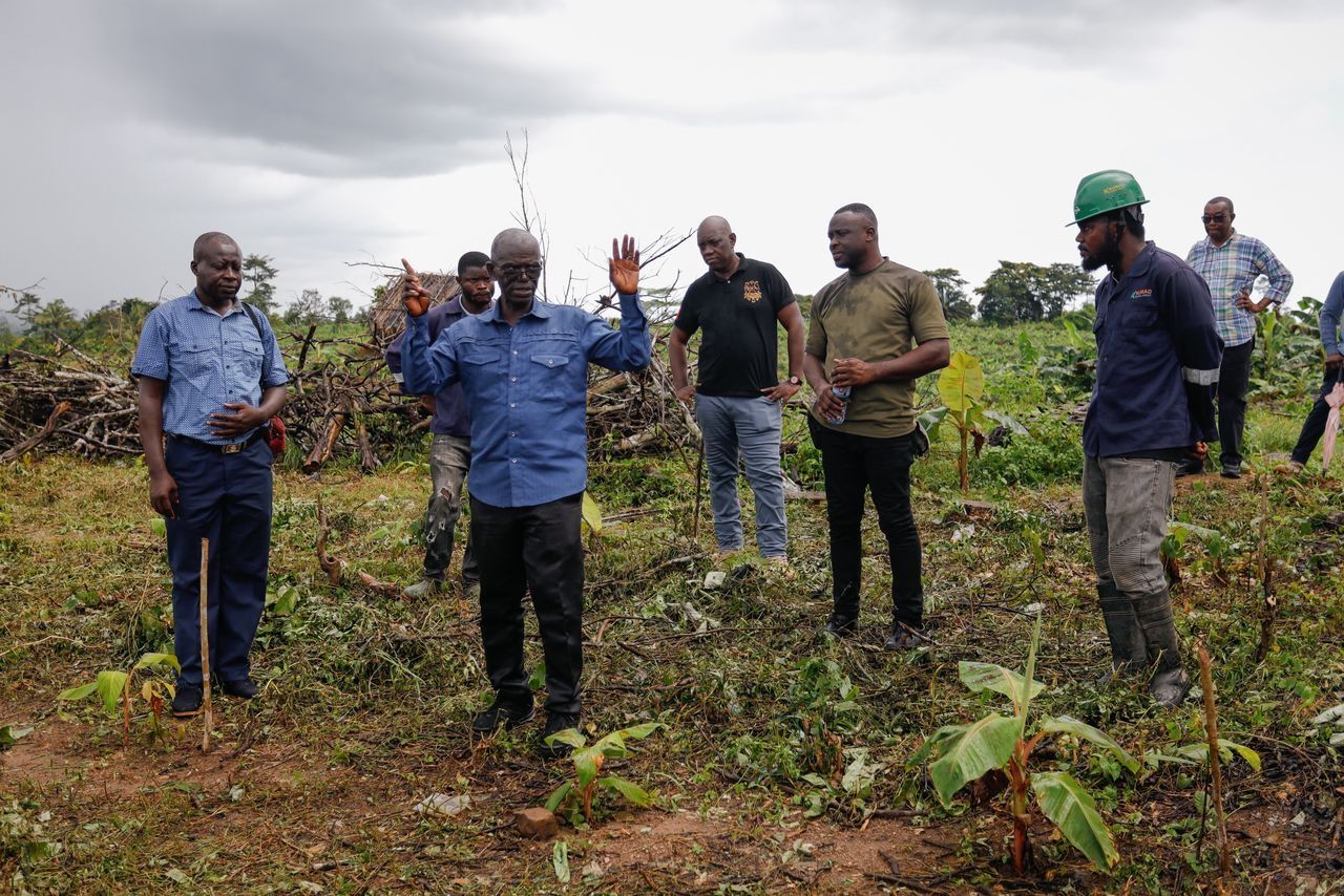 Kofi Asmah Writes: From seedlings to strategy: Can Ghana process 50%?