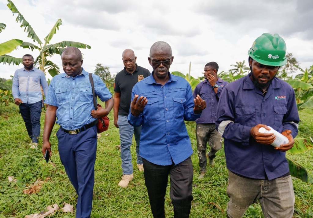 Kofi Asmah Writes: From seedlings to strategy: Can Ghana process 50%? Kofi Asmah Writes: From seedlings to strategy: Can Ghana process 50%?