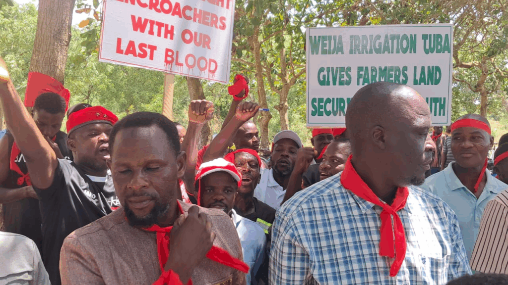 Land guards take over Tuba irrigation farm as farmers protest Land guards take over Tuba irrigation farm as farmers protest