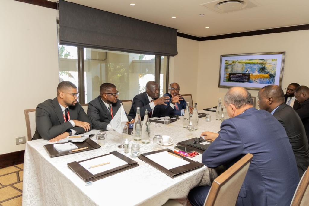 Lands Minister seeks strategic partnership with Africa Finance Corporation to boost mineral sector