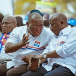 NPP primaries a victory for entire party, says Hassan Tampuli