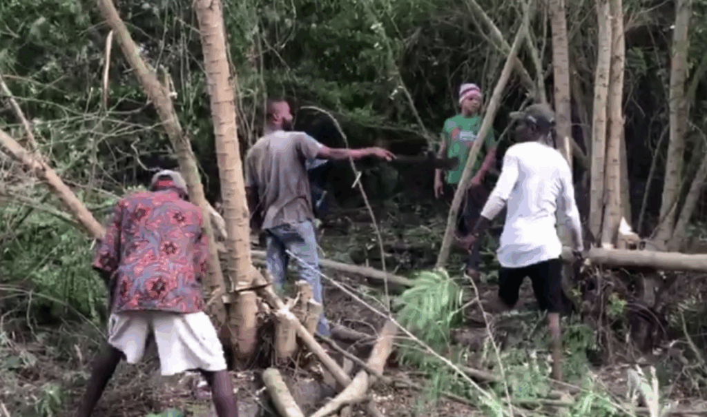 Sorry! Image not available at this time