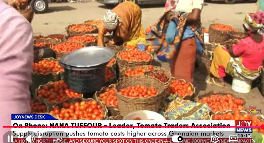 Traders say tomato prices likely to stabilise gradually despite recent supply shocks