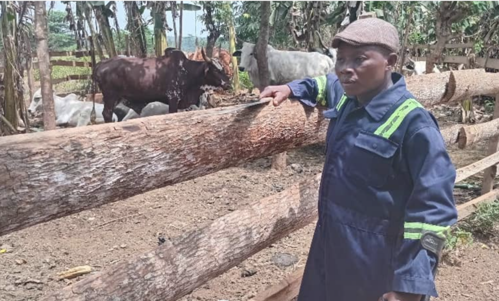 Best farmer drives cashew boom as cocoa production declines – MyJoyOnline