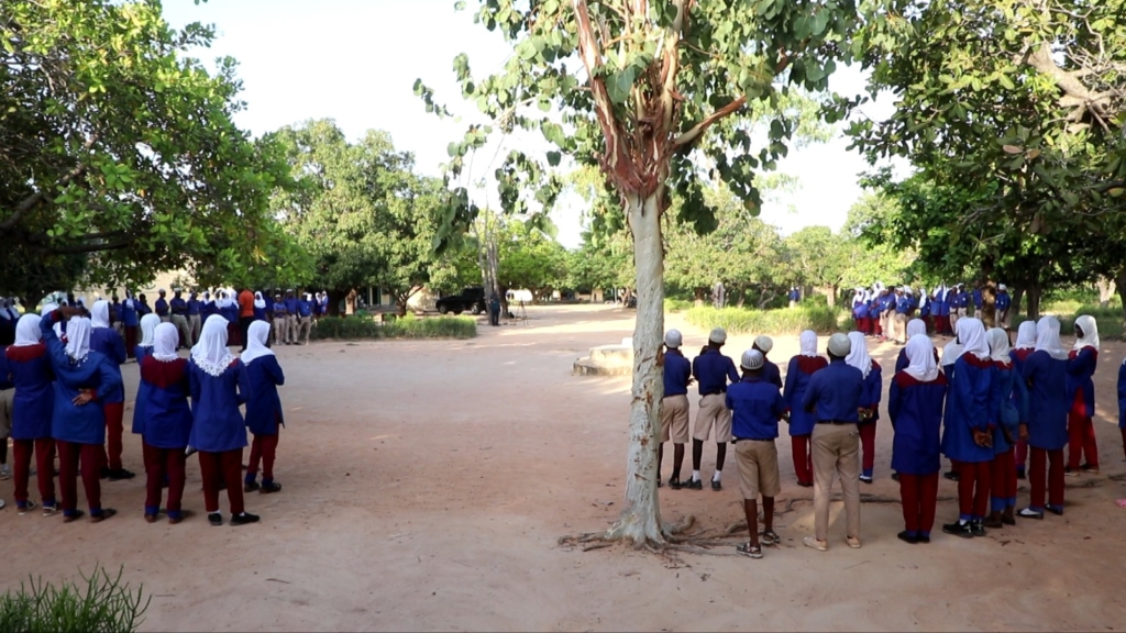 From windstorm to resilience: How Wa school is growing climate protection – MyJoyOnline