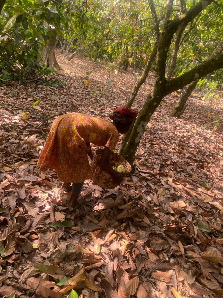 Sorry! Image not available at this time