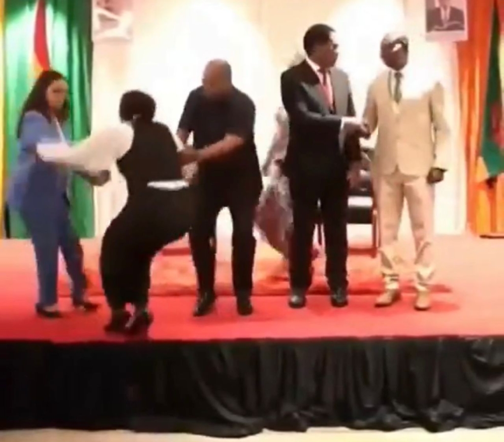 Watch: Mahama catches lady from falling at Zambia summit – MyJoyOnline