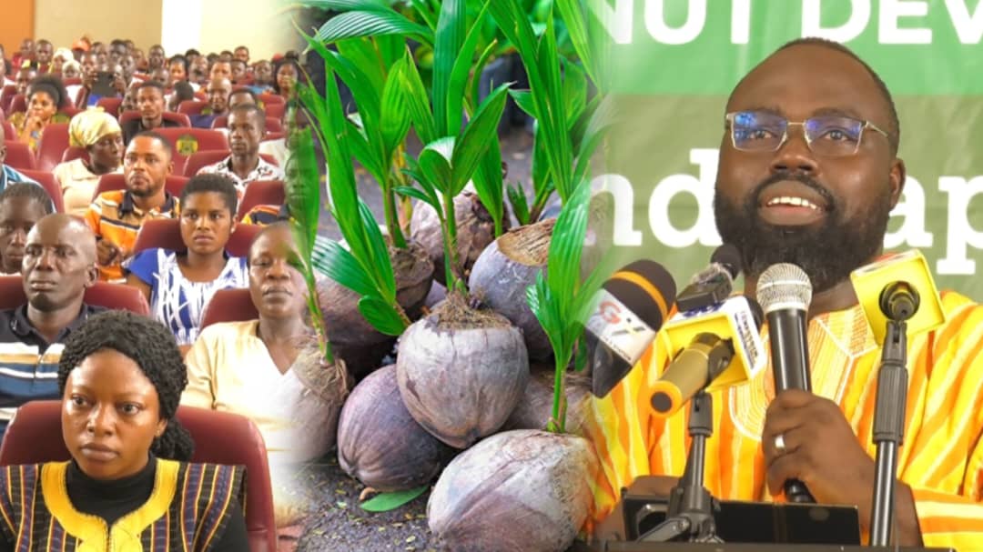 Gov’t launches nationwide training programme for coconut farmers