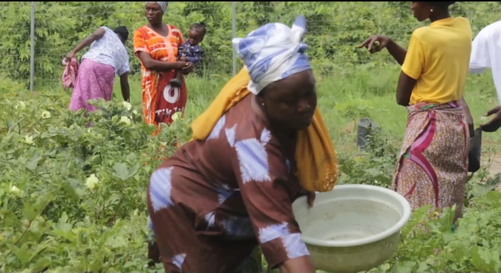 Sorry! Image not available at this time