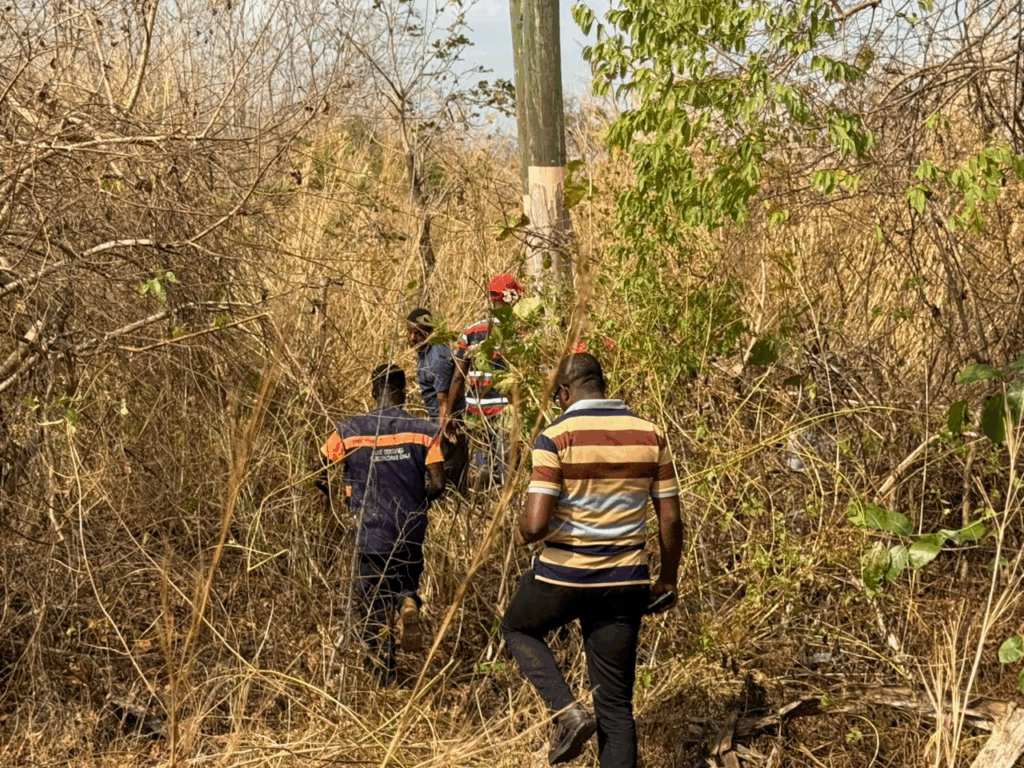 ECG intensifies bushfire prevention campaign in Volta and Oti Regions
