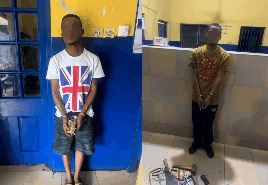 Sorry! Image not available at this time