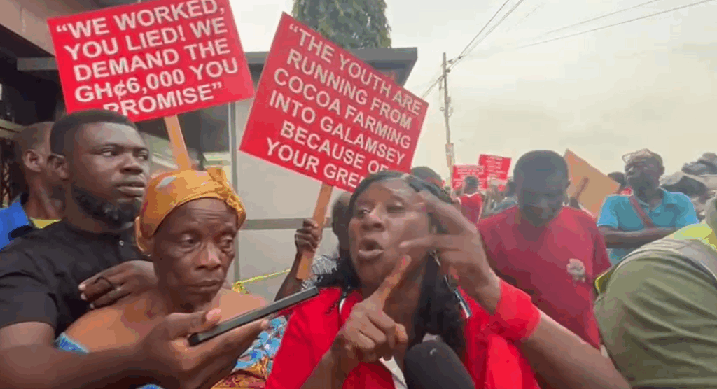 Cocoa farmers picket COCOBOD, accuse gov't of betrayal over prices