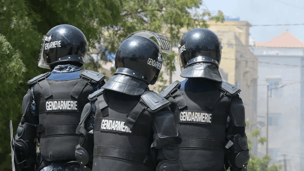 Senegal arrests 14 members of alleged...