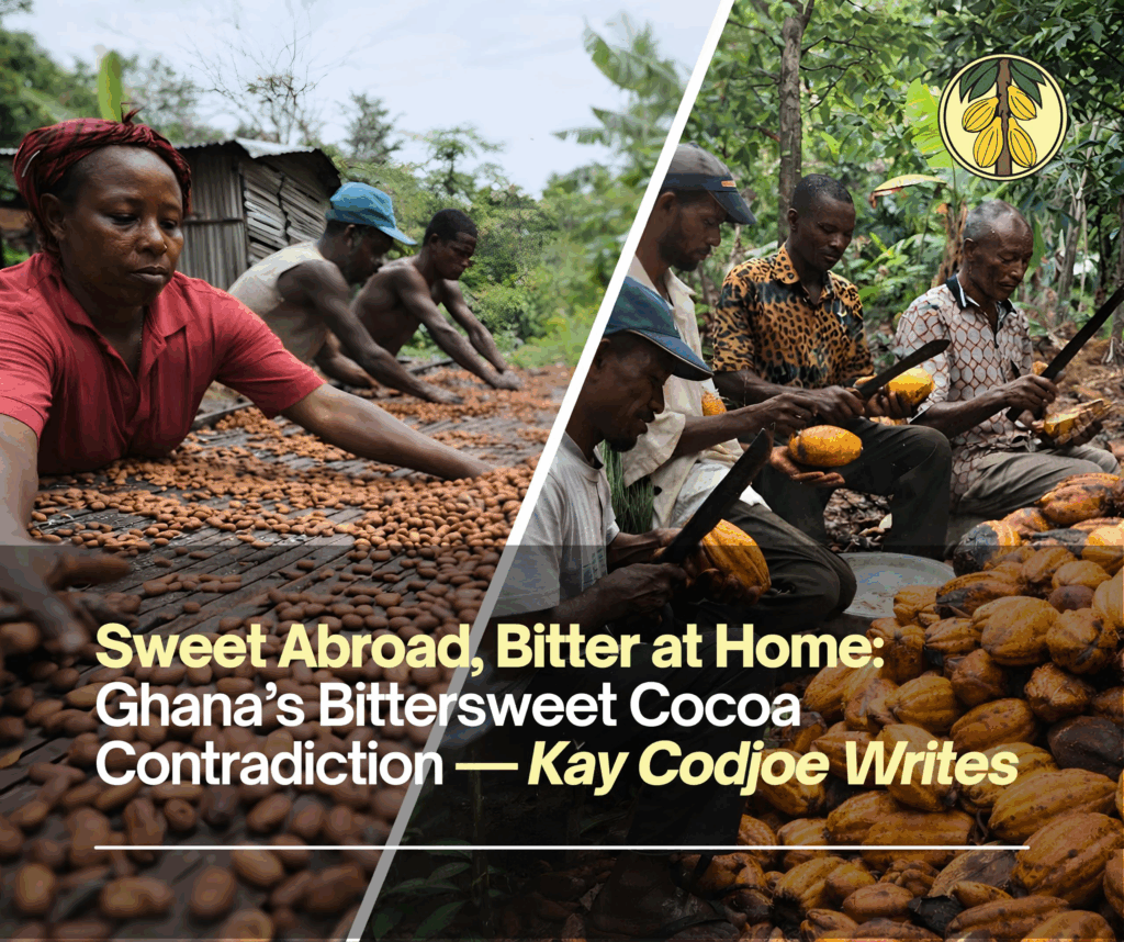 Sweet abroad, bitter at home: Ghana’s bittersweet cocoa contradiction — Kay Codjoe writes