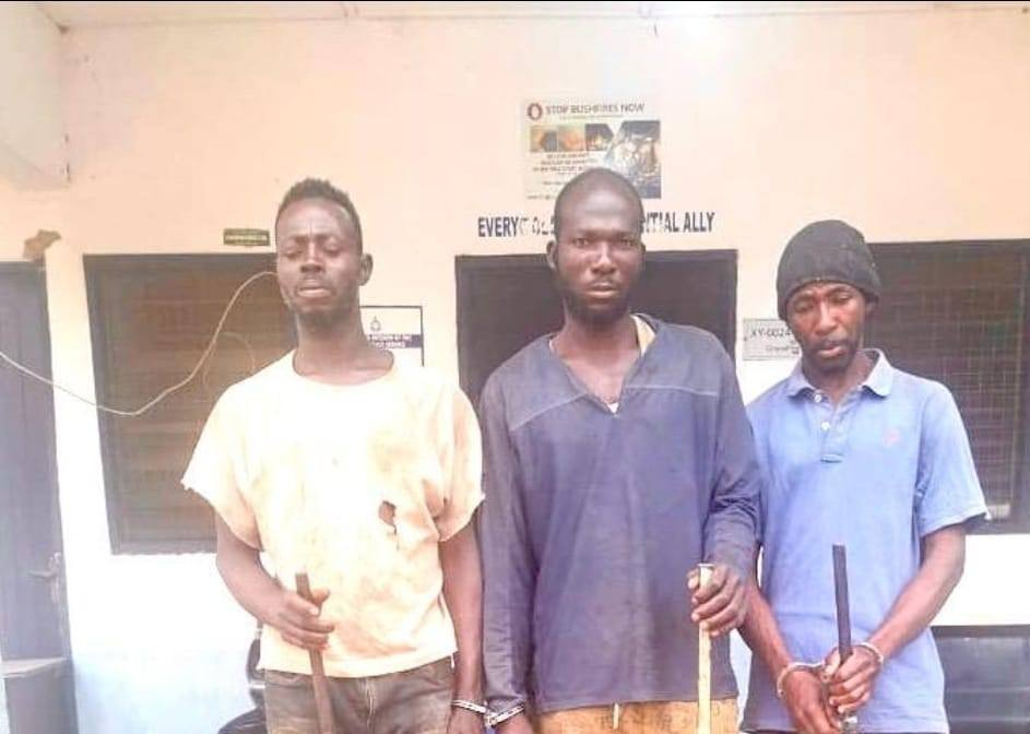 3 convicted over illegal firearms and ammunition possession in Wa; each fined ¢2,400 – MyJoyOnline