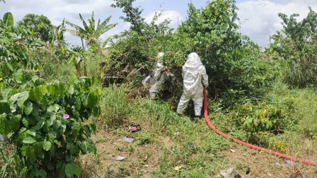 Bees kill a three-year-old boy, injure 10 in Agona Swedru
