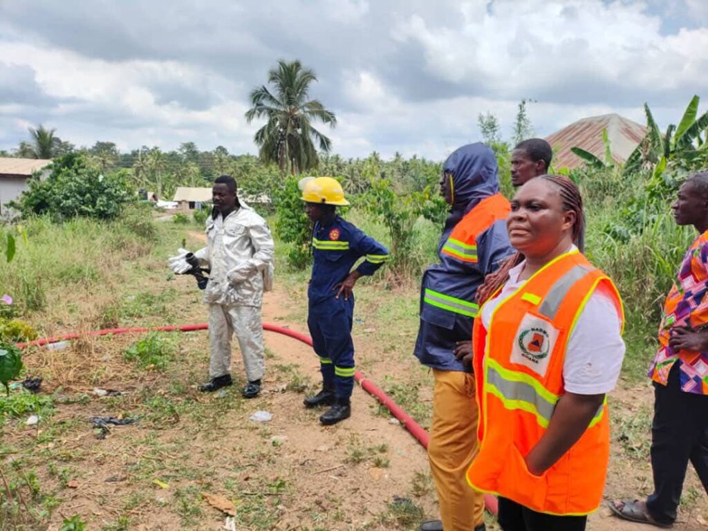 Bees kill a three-year-old boy, injure 10 in Agona Swedru