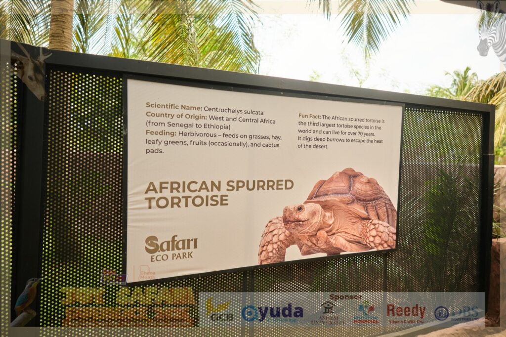 Two days, one epic adventure: 'Joy Safari Experience 2026' leaves patrons in unforgettable ecstasy