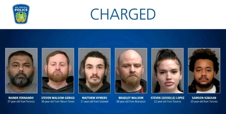 Stolen luxury cars worth $800,000 intercepted before shipment to Ghana