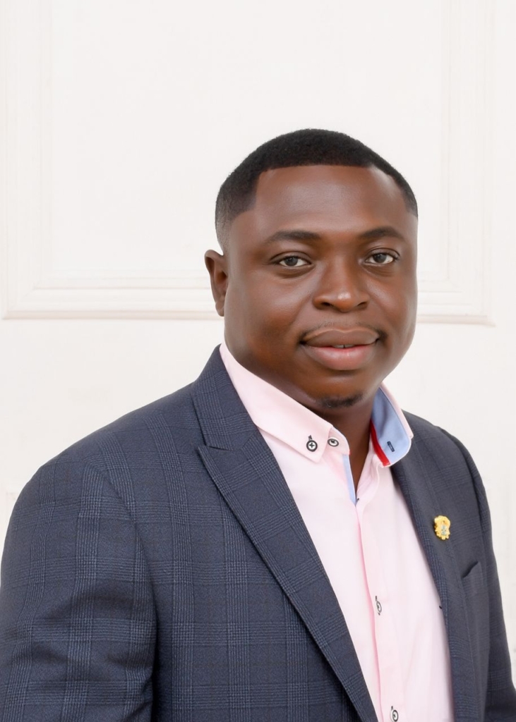 Without government interventions, illegal mining will fester – MyJoyOnline