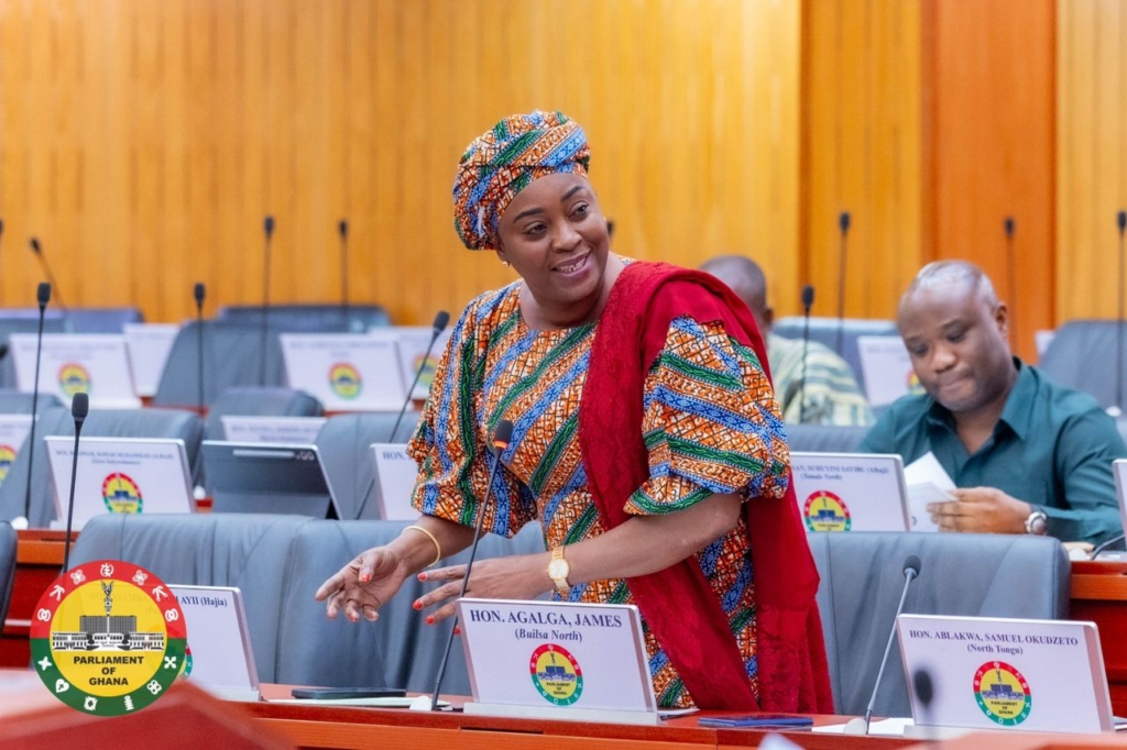 Kintampo South MP advocates proportional representation to promote gender equity in governance