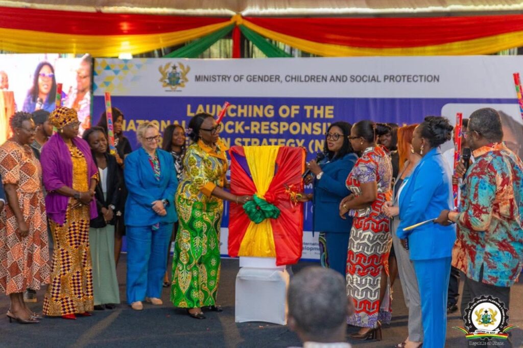 NDPC DG urges shift to resilient, shock-responsive social protection systems