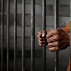 Senegal court jails three TikTok influencers for insulting the president