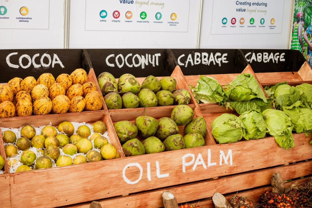 A Legacy etched in gold: Damang community hails 25 years of transformation as mining giant prepares to depart