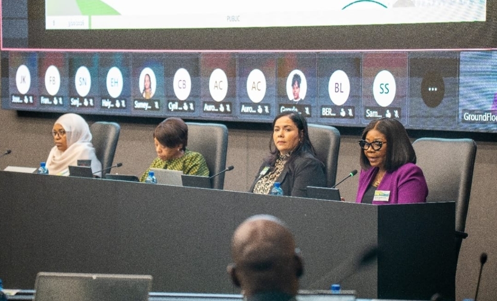 Second Deputy Governor champions sustainable finance at NGFS Plenary