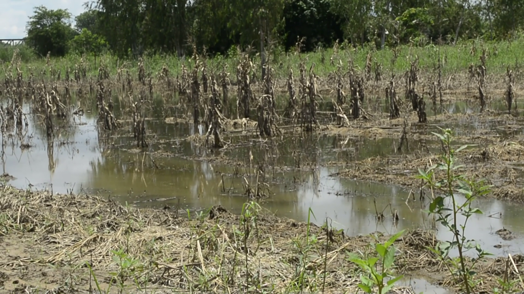 Flood-hit Upper East communities battle water pollution and sanitation risks Flood-hit Upper East communities battle water pollution and sanitation risks