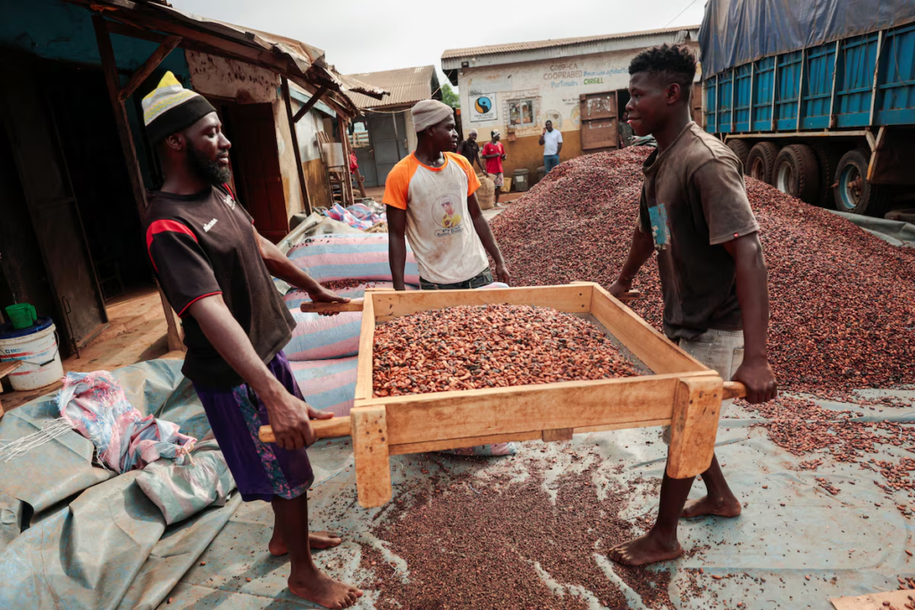 Ivory Coast considers reforming cocoa marketing system to tackle excess supply, sources say – MyJoyOnline