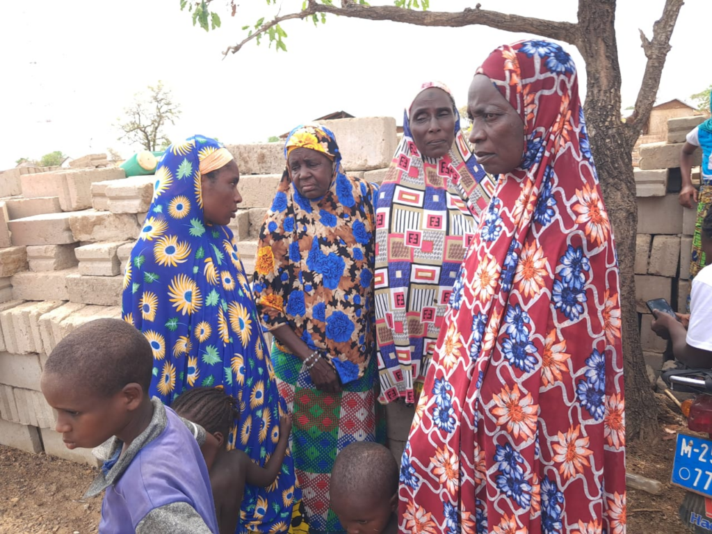 Let's demonstrate Mahama's peace advocacy in his home region - Fulbe to chiefs and people