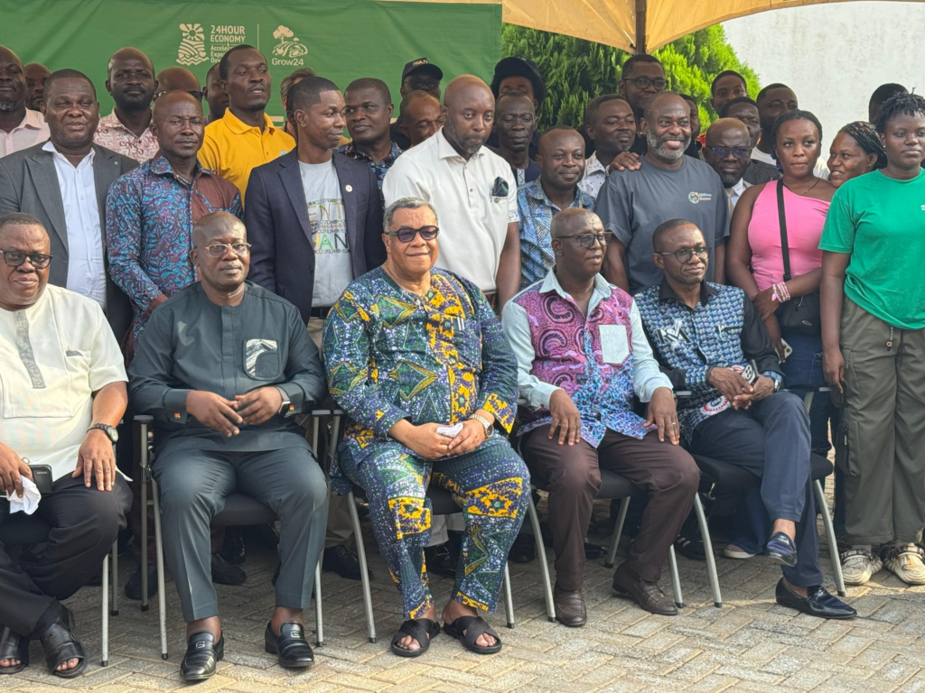 Seed system reform key to Ghana’s 24-hour economy vision - Goosie Tanoh
