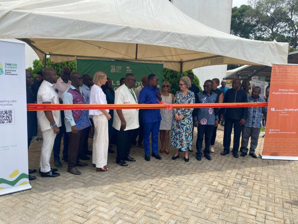 Seed system reform key to Ghana’s 24-hour economy vision - Goosie Tanoh