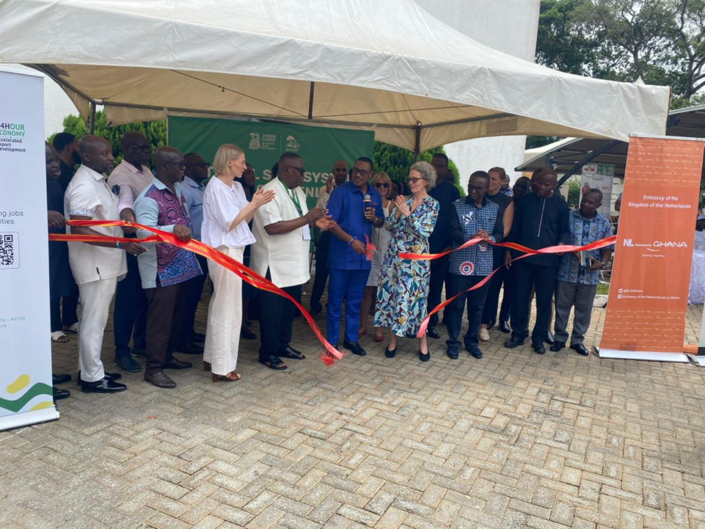 Seed system reform key to Ghana’s 24-hour economy vision - Goosie Tanoh