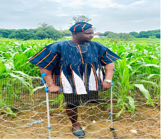 Seeds of Resilience: Home gardening turning survival into success