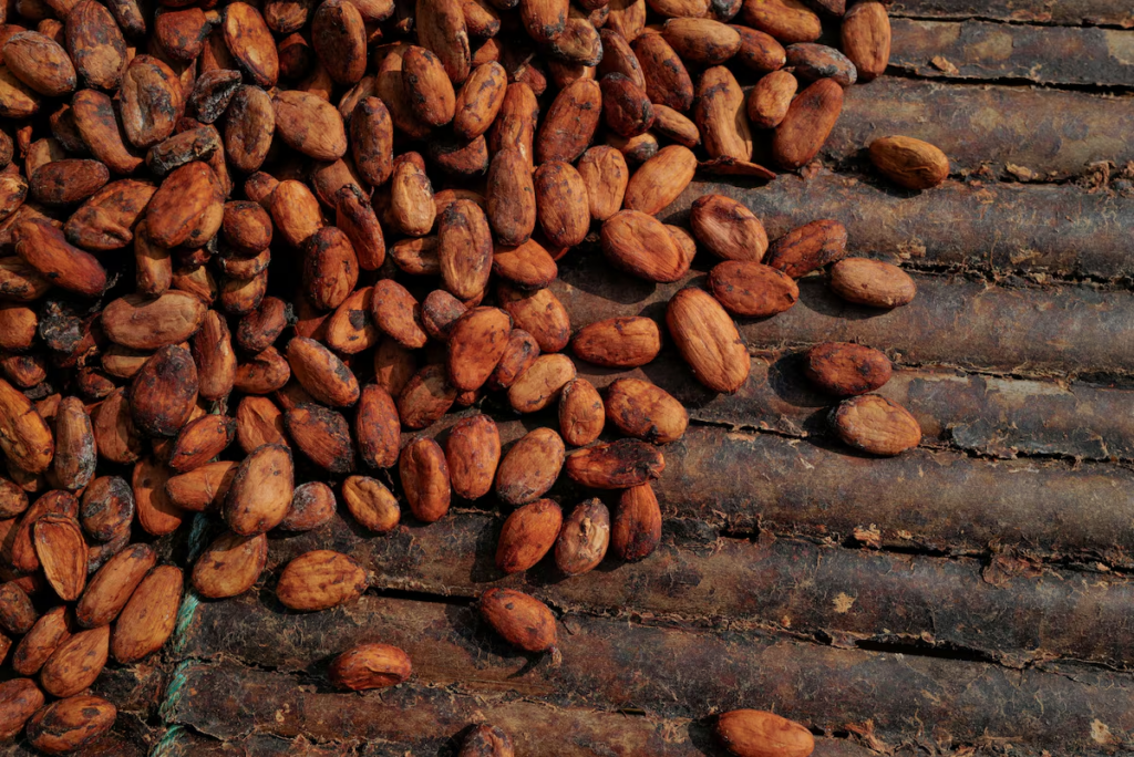 Ghana's cocoa production is expected to fall 16% next season