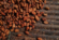 As cocoa prices melt down, real chocolate is making a comeback
